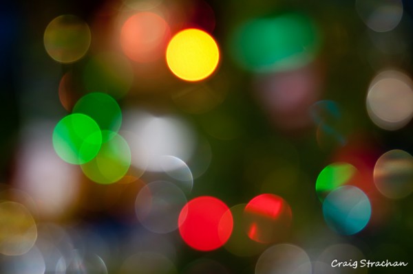 Christmas Lights